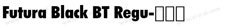 Futura Black BT Regu字体转换